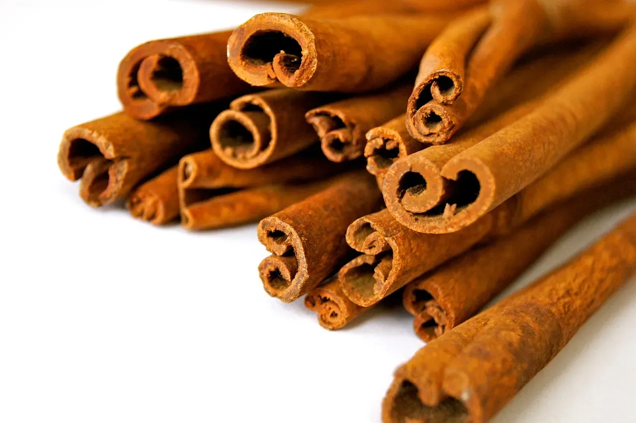 Cinnamon (Image Credits: Pixabay)