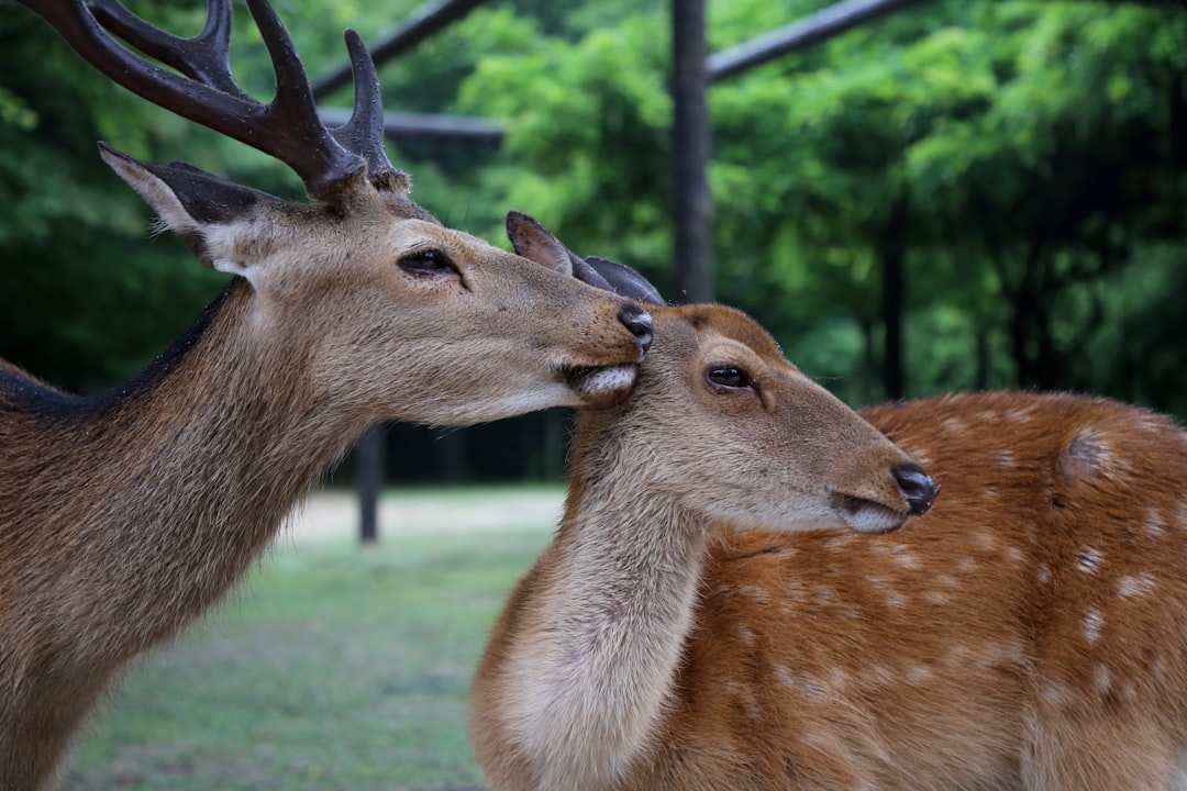 The Pheromone Puzzle (Image Credits: Unsplash)