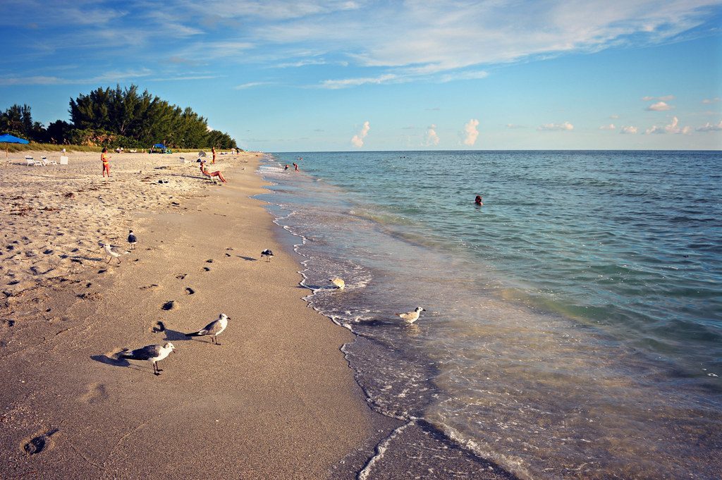 Sanibel and Captiva Islands: Shell Collector's Paradise (Image Credits: Flickr)