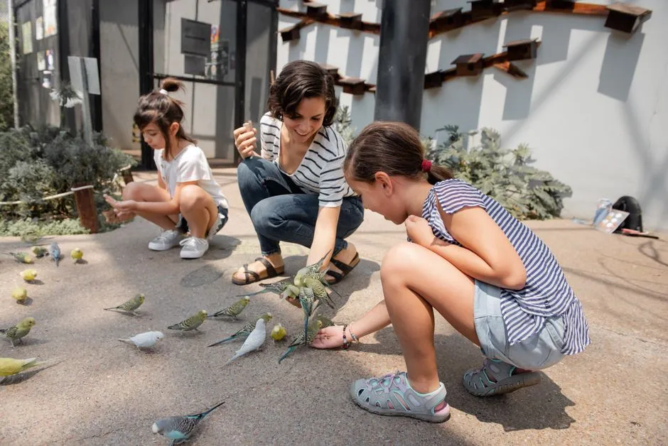 #3 - Allowing Kids or Pets Nearby Without Fleeing Completely (Image Credits: Pexels)