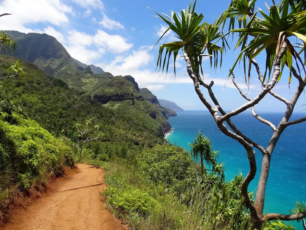 Hawaii: Tropical Paradise With Serious Elevation (Image Credits: Pixabay)