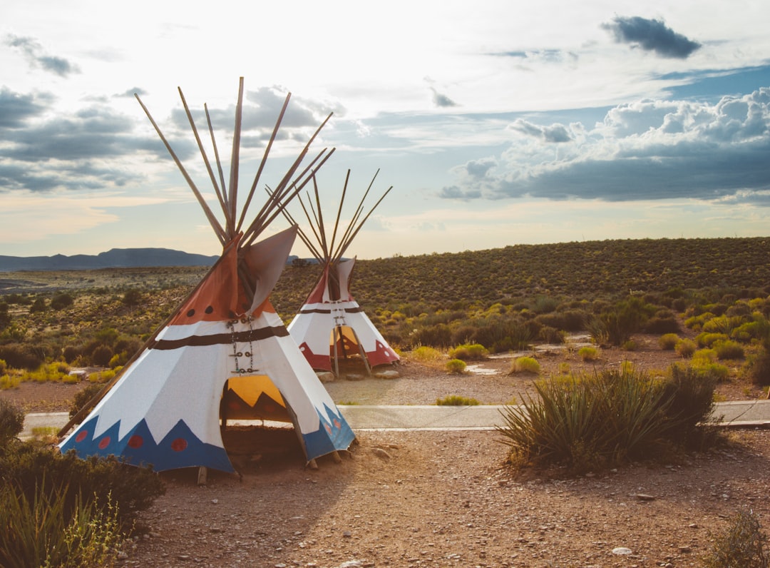 Native Americans Are Invisible in Modern History Lessons (Image Credits: Unsplash)