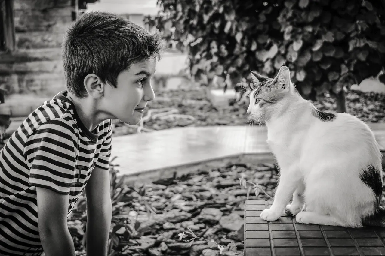 #4 - Their Meows Turn Into a Private Language Just for You (Image Credits: Pixabay)