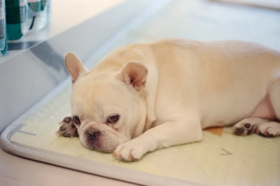 Everyday Cooling Habits That Prevent Overheating (Image Credits: Unsplash)