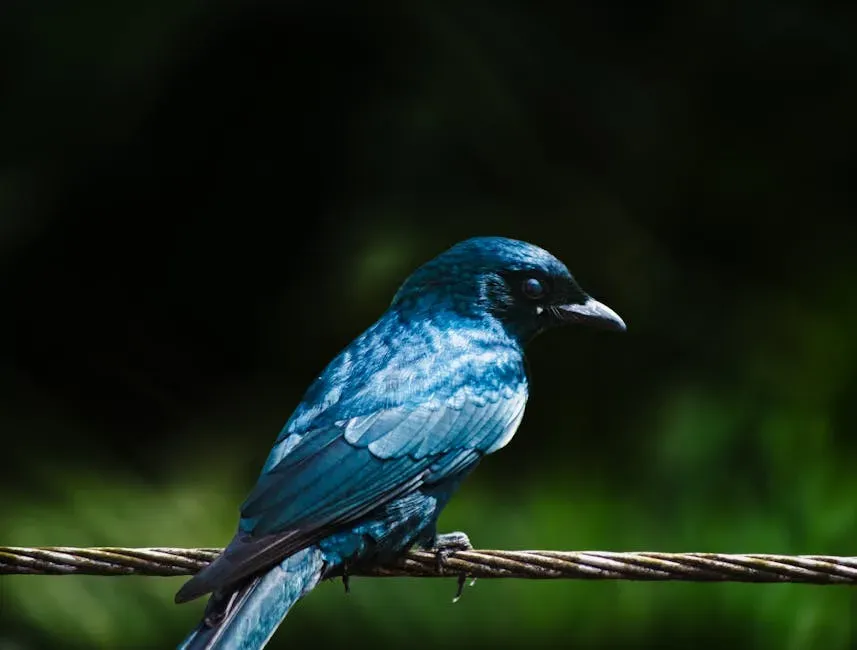The Inner Ear and the Beak: A Backup System or Something More? (Image Credits: Pexels)