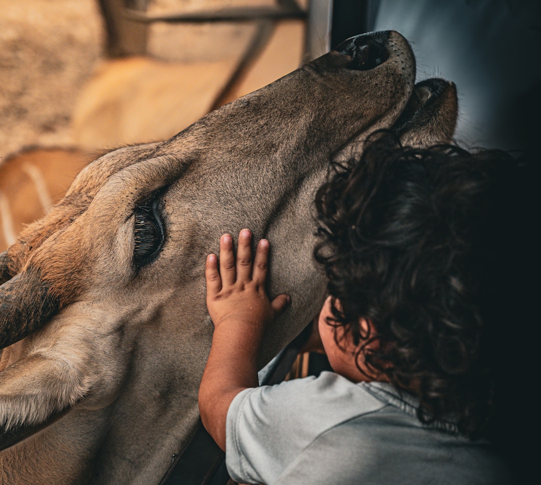 Emotional Contagion Across Species (Image Credits: Unsplash)