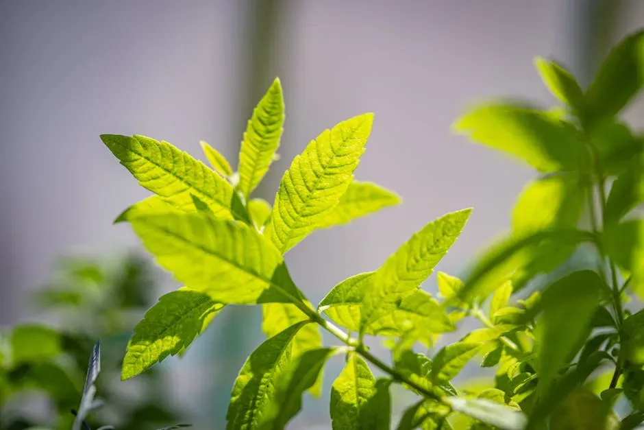7. Lemon Balm: The Citrusy Secret Weapon (Image Credits: Pexels)