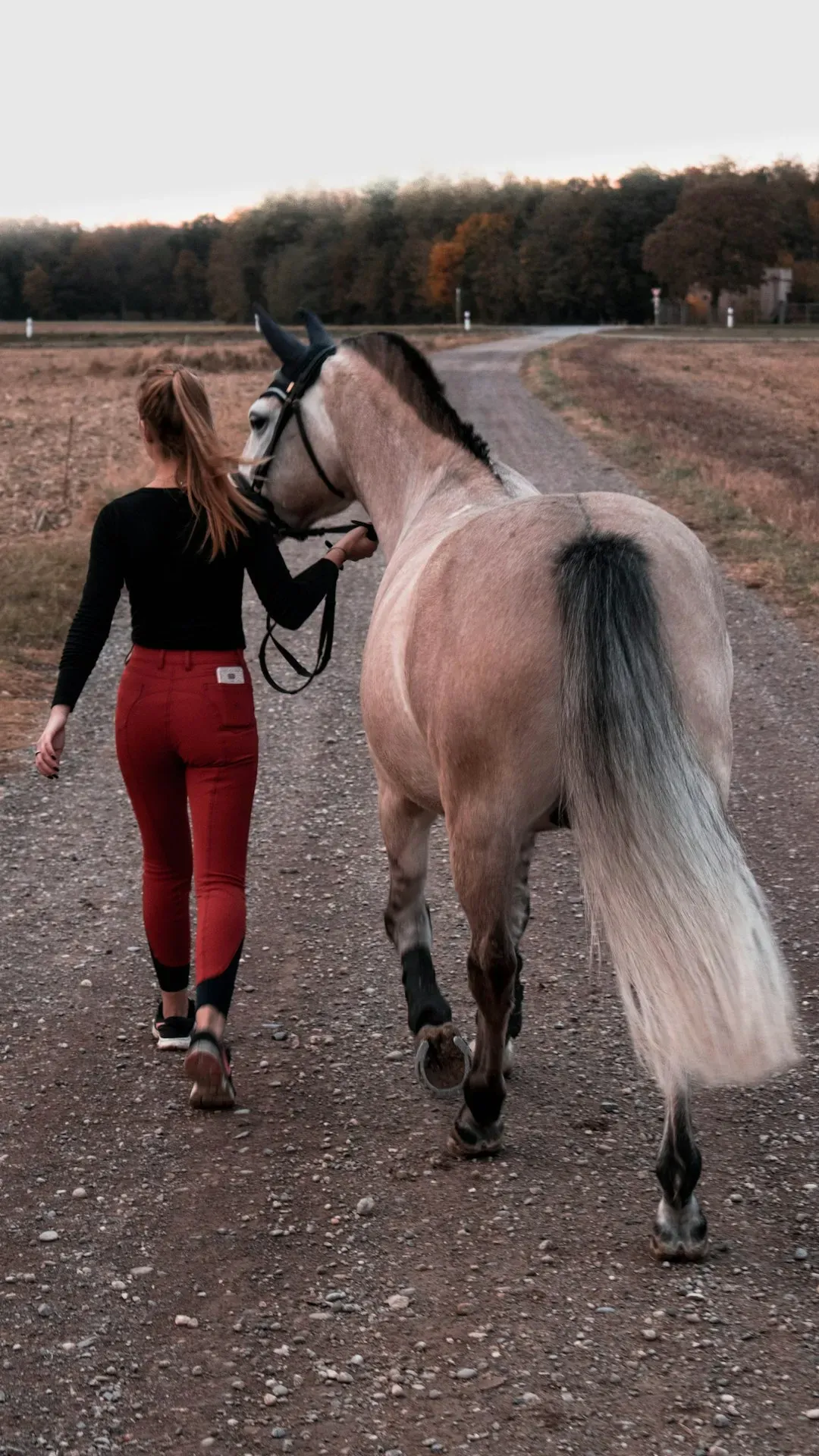 They Follow You Like a Shadow (Image Credits: Unsplash)