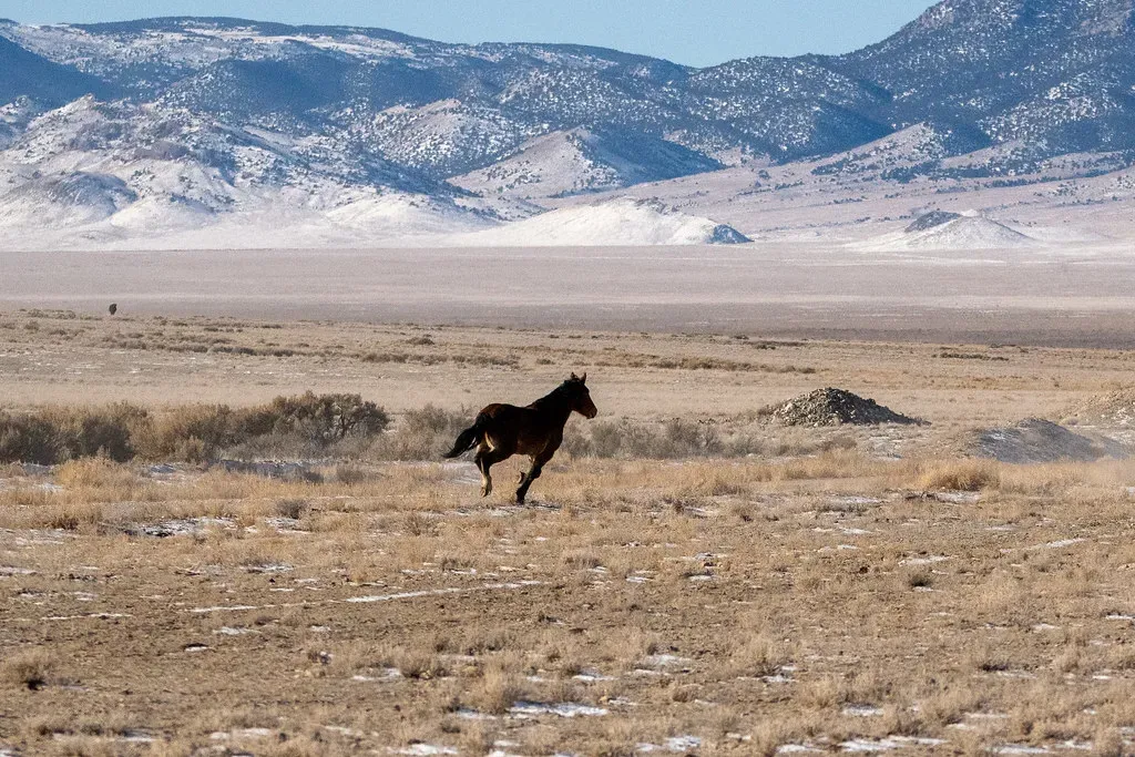 Virginia Range, Nevada (Image Credits: Flickr)