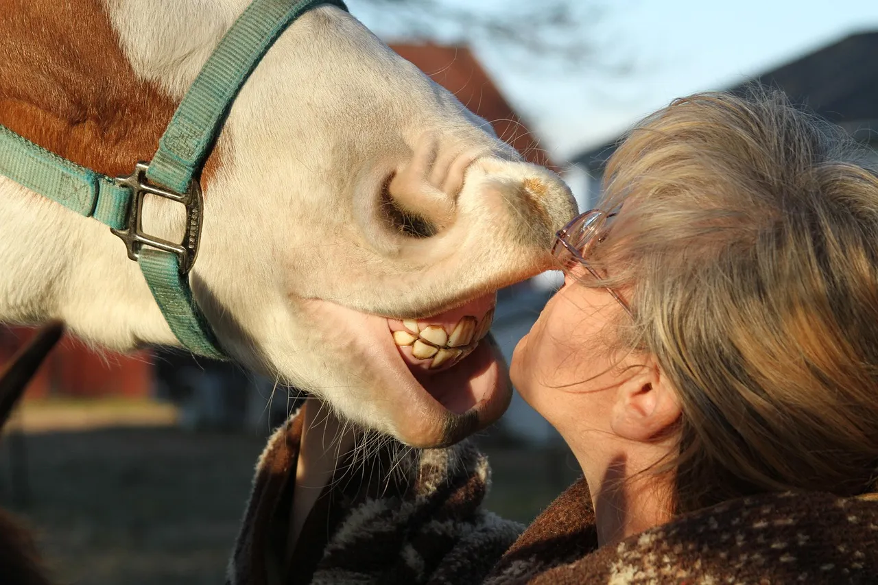#9 - They Offer You Their Nose Instead of Turning Away (Image Credits: Pixabay)