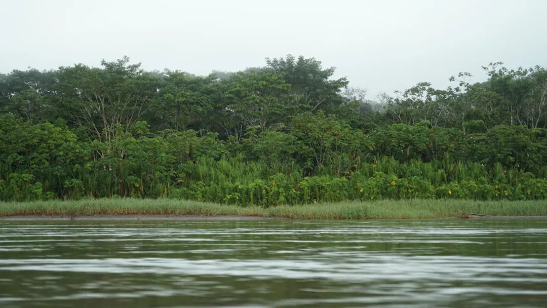 The Congo: Africa's Deep Mystery (Image Credits: Unsplash)