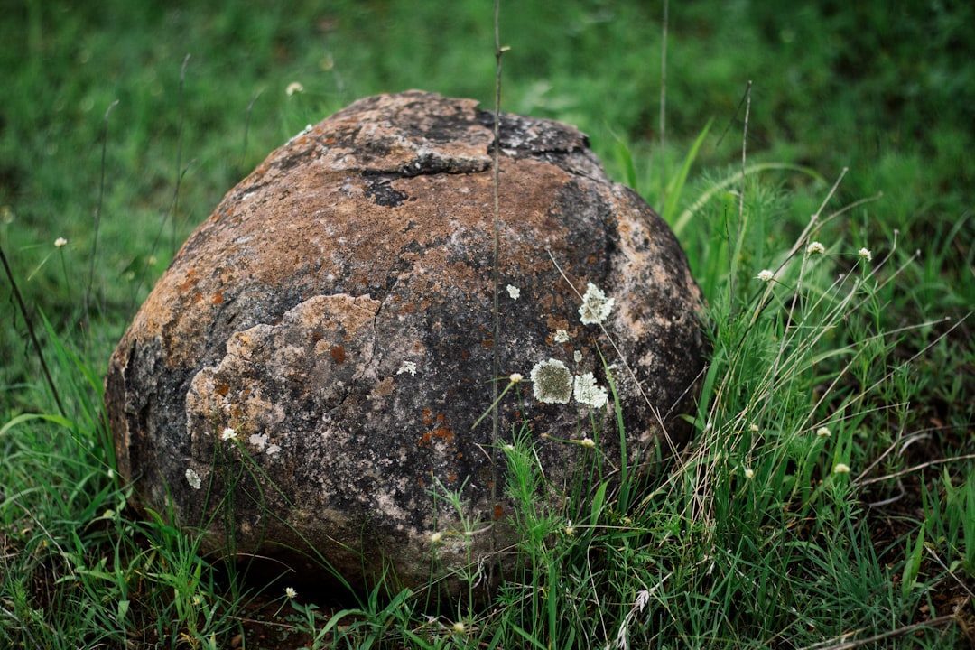 Neolithic Stone Balls: Scotland's Spherical Secret (Image Credits: Unsplash)