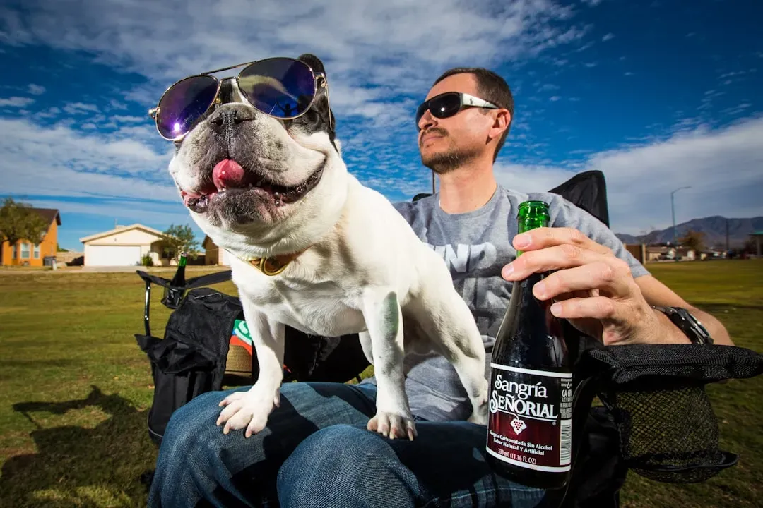 10 - Pug (Image Credits: Unsplash)