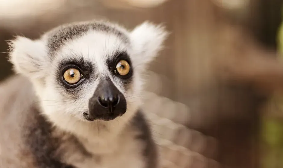 6. Indri Lemurs Sing Like Musicians with Rhythmic Beats (Image Credits: Pexels)