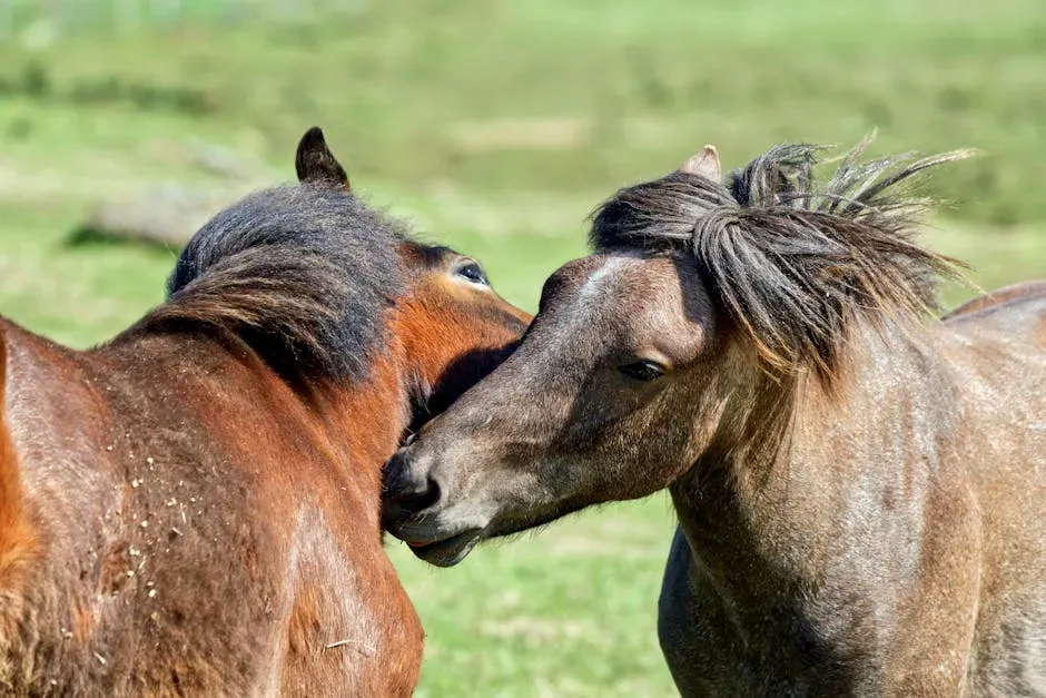 4. Leaning In or Resting Near You (Image Credits: Pexels)