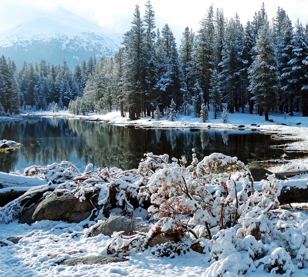 Yosemite National Park: Granite Giants Draped in Snow (Image Credits: Flickr)