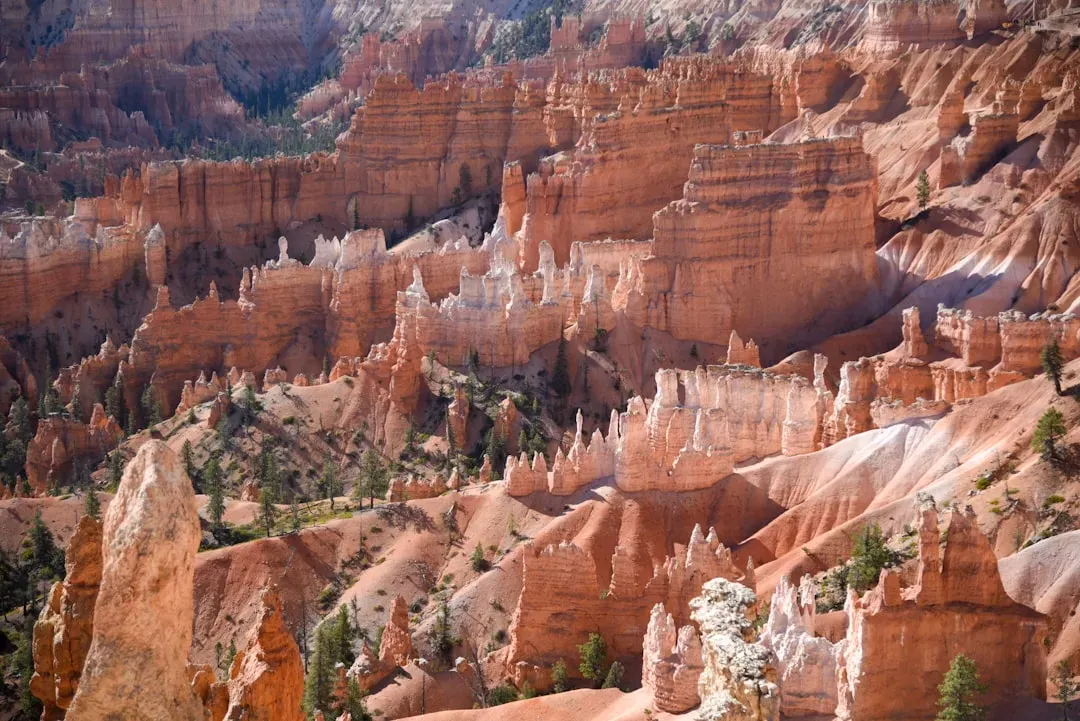 Fang Ridge: Where Red Spires Pierce the Desert Sky (Image Credits: Unsplash)