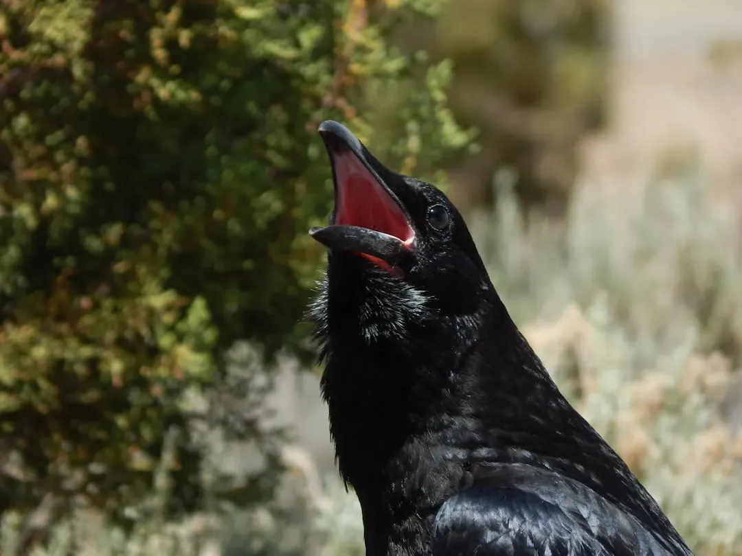 6. They Have a Rich and Complex Vocal Repertoire (Image Credits: Unsplash)