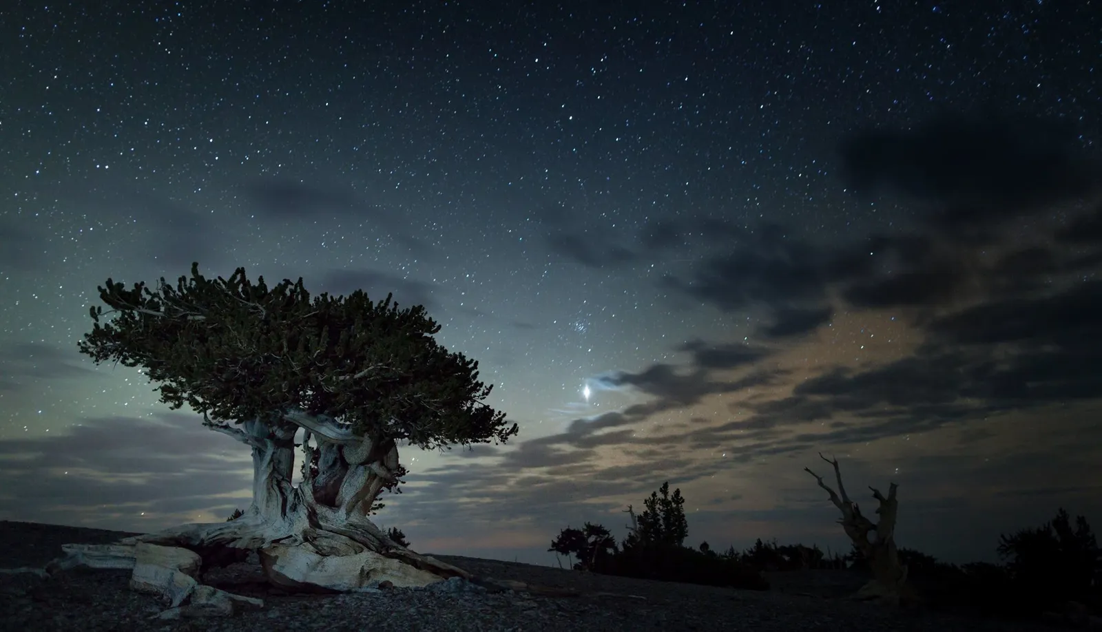 #18 - Great Basin National Park, Nevada: It's Not "Just a Bunch of Desert" (By National Park Service, Public domain)