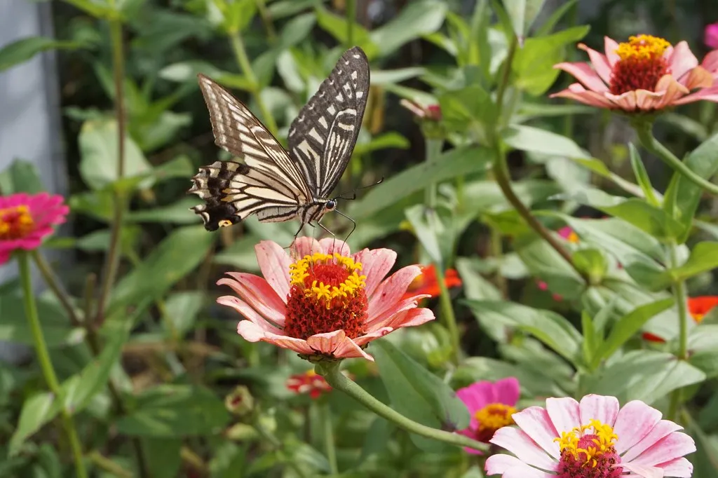 2. Vertical Elements Add a Dimension Most Gardens Skip (Image Credits: Flickr)