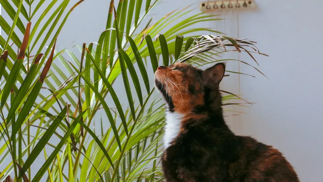 10. Keep Cats Indoors - or at Least Contained (Image Credits: Unsplash)