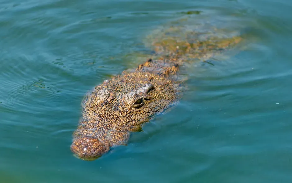 Capricorn: The Crocodile - Cold, Calculating, Ruthlessly Ambitious (Image Credits: Pexels)