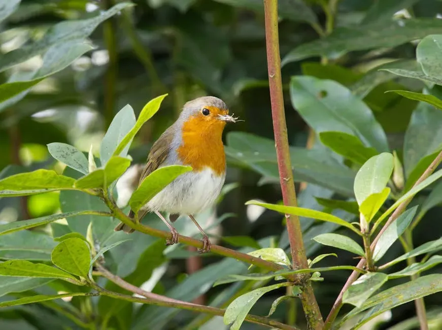 Observing and Respecting Wildlife (Image Credits: Pexels)