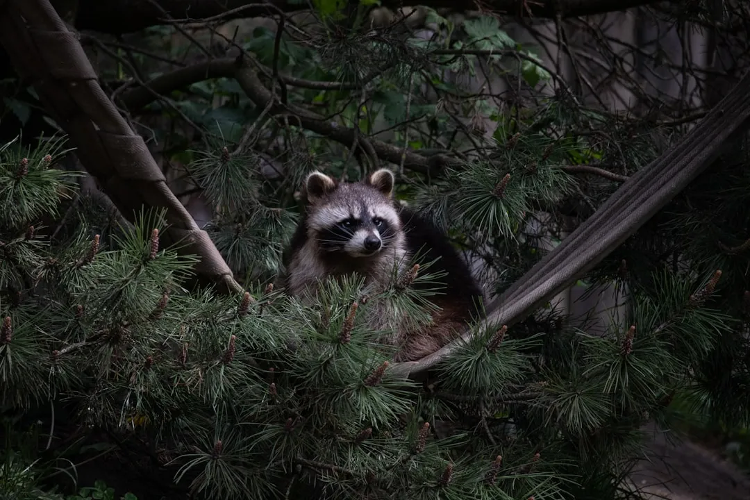 #7 It Could Signal a Den Nearby (Image Credits: Unsplash)