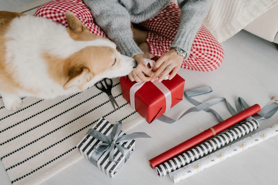 #9 - They Bring You "Gifts" (Yes, Even Gross Ones) (Image Credits: Pexels)