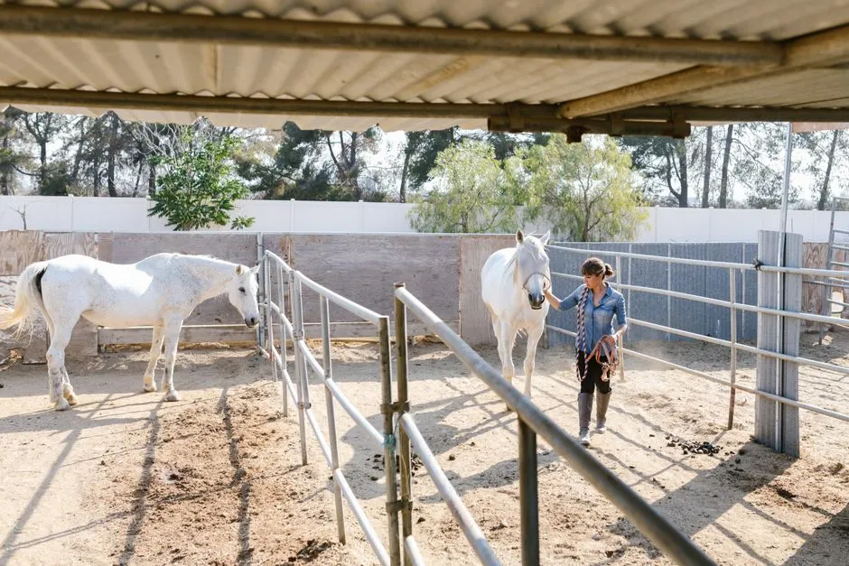 #6 - The "Shadowing" Walk Along the Fence (Image Credits: Pexels)