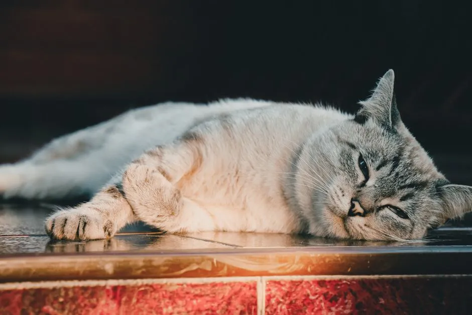 #2 - "Slowing Down" Is Very Often Code For Pain (Image Credits: Pexels)