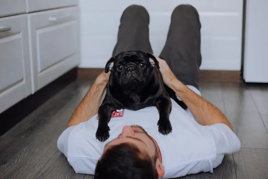 Pug: Small Dog, Maximum Snuggle Energy (Image Credits: Pexels)