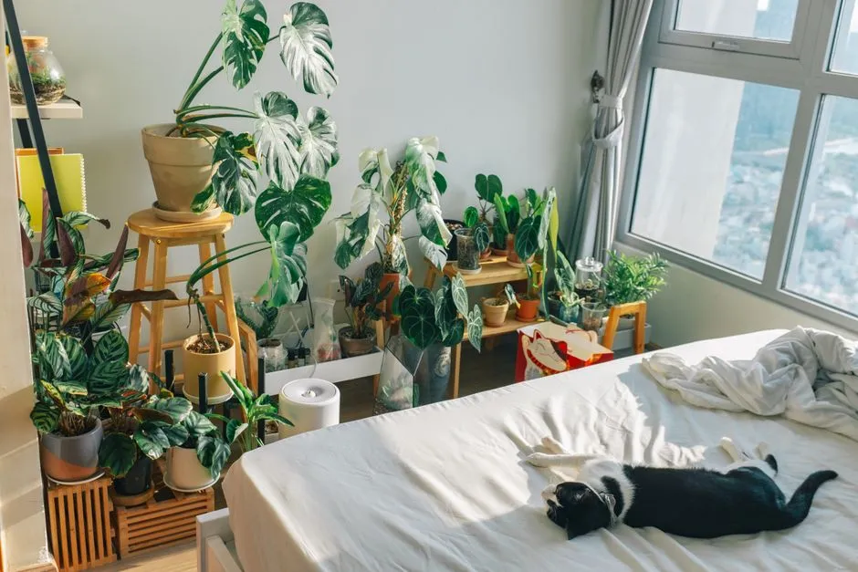 #5 - A Clear Safe Place Away from Guests and Other Pets (Image Credits: Pexels)
