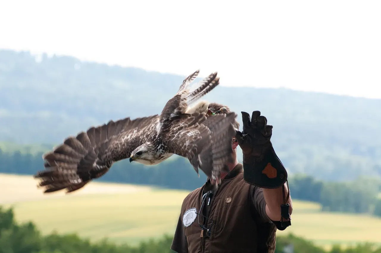6. Griffin and 12 Animals Rescued From Cruelty and Neglect (Image Credits: Pixabay)