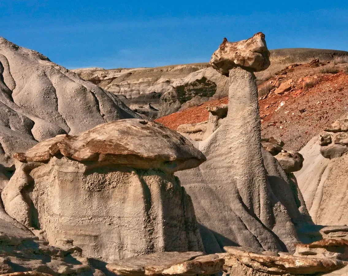 Bisti De Na Zin Formations in New Mexico (Sphinx?Uploaded by PDTillman, CC BY 2.0)