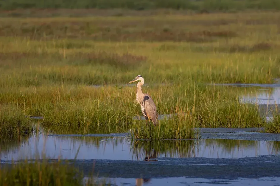 A Final Reflection (Image Credits: Pexels)