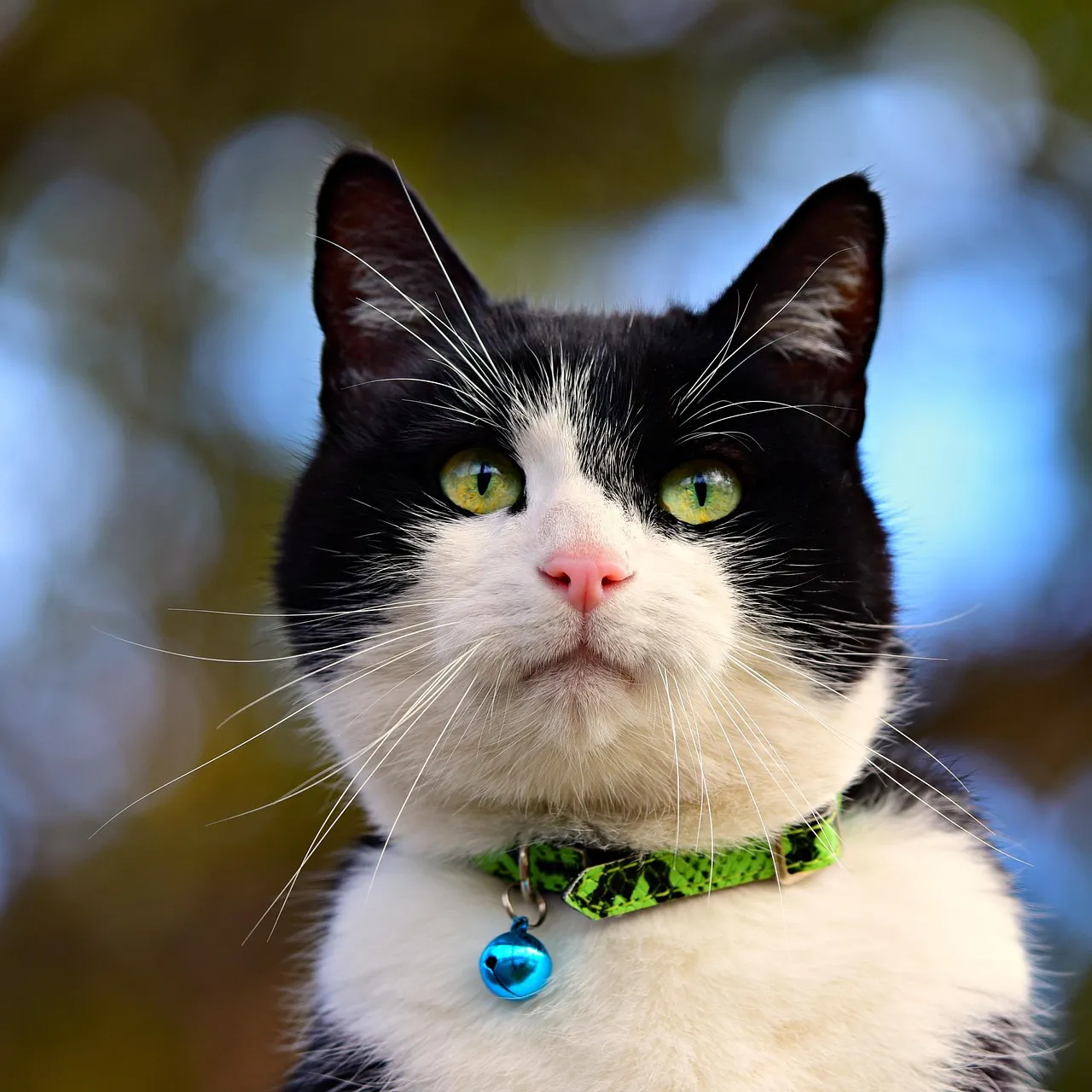 Managing the Behavior: Practical Steps (Image Credits: Pixabay)