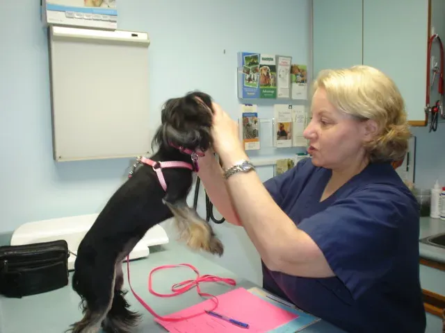 8. Consider Spaying or Neutering at the Right Time (Image Credits: Flickr)