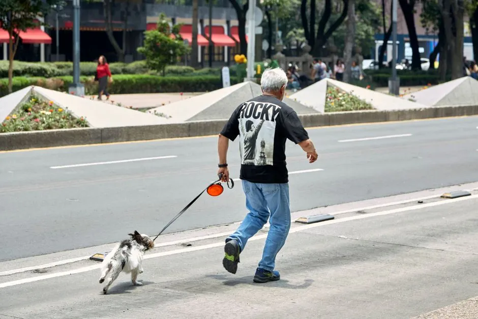 #7 - They Sync Their Walking Pace to Match Yours (Image Credits: Pexels)