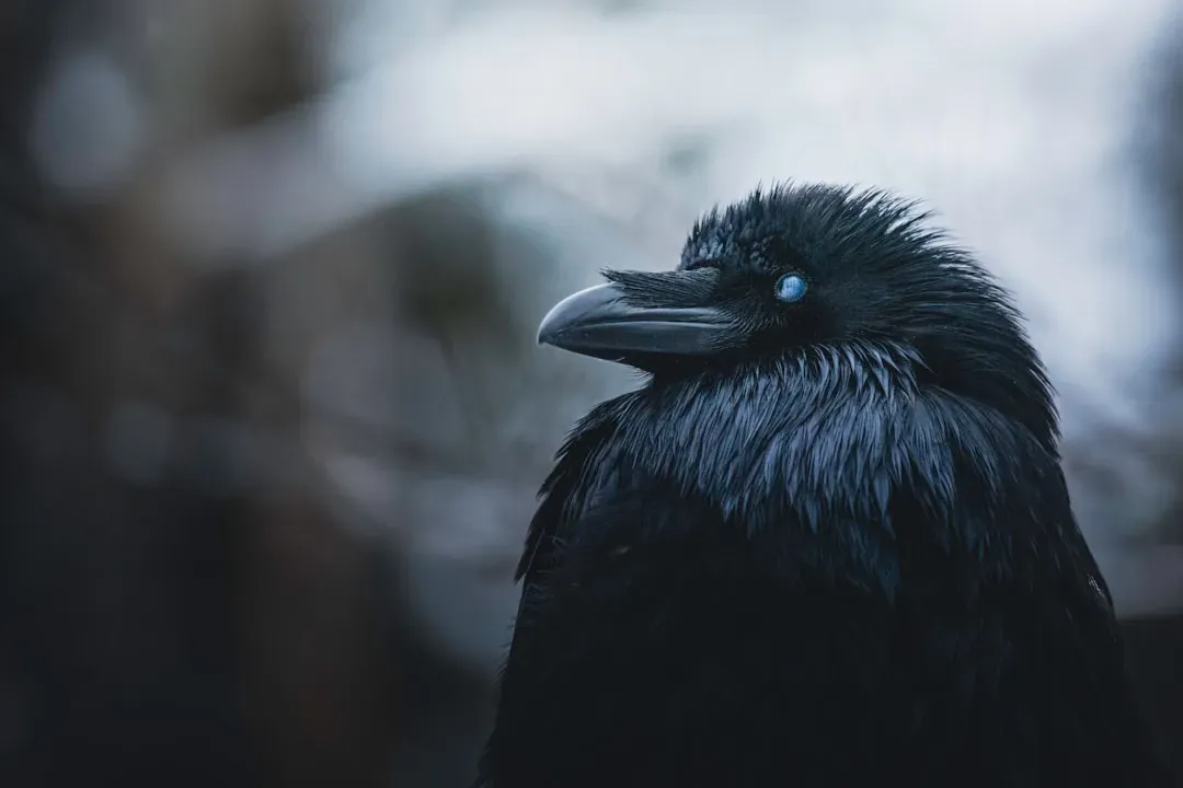 The Experiment That Changed Everything We Thought We Knew (Image Credits: Unsplash)