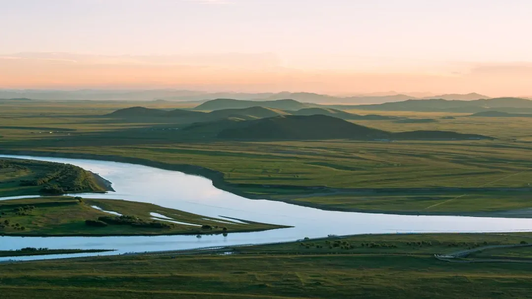#5: The Ecosystem and the Governance Framework Are Both Collapsing Together (Image Credits: Unsplash)