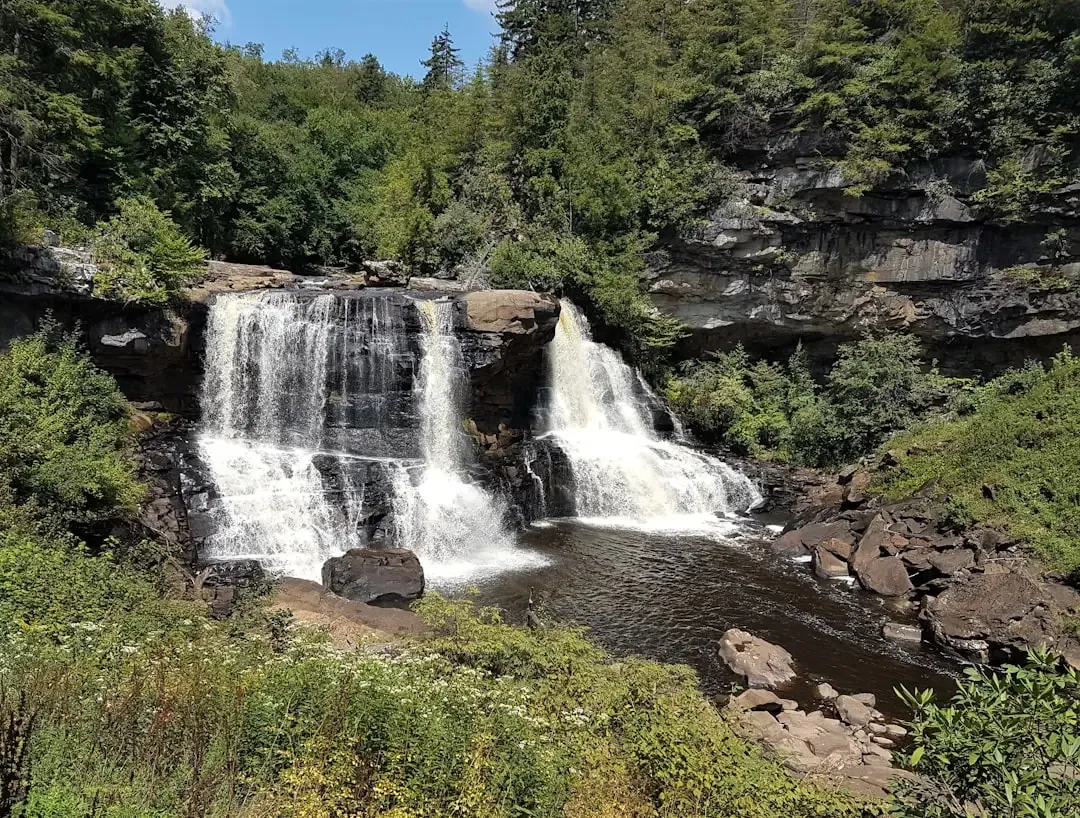 Blackwater Falls State Park, West Virginia (Image Credits: Unsplash)