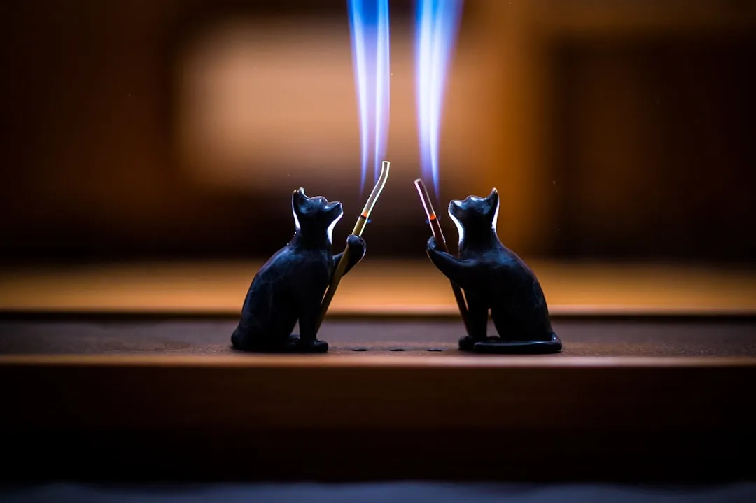 #8 - Smoking Indoors Around Cats All the Time (Image Credits: Unsplash)