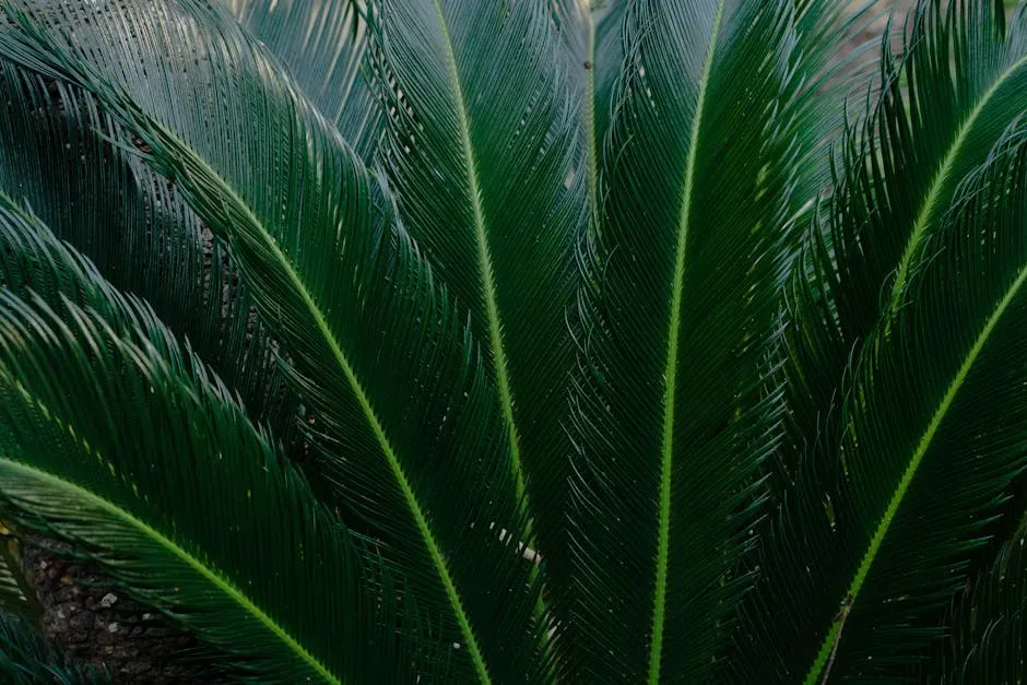 2. Sago Palm: A Beautiful Killer Hiding in Plain Sight (Image Credits: Pexels)