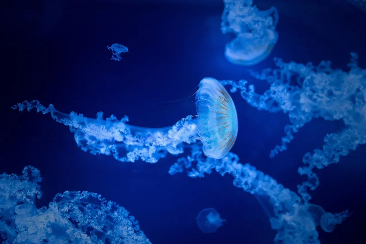Five Mass Extinctions and Still Counting (Image Credits: Pixabay)