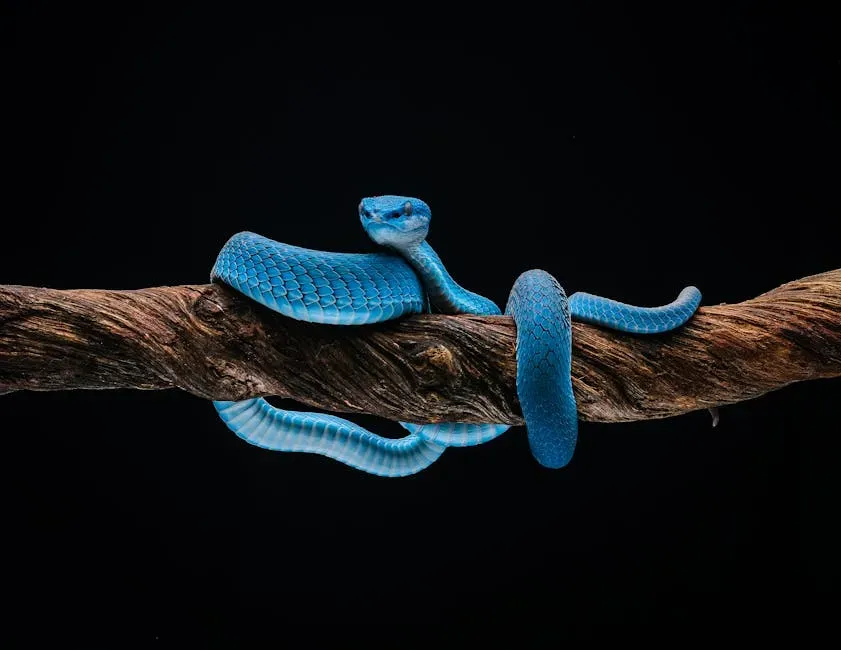 5. Pit Vipers Have a Built-In Thermal Imaging System (Image Credits: Pexels)