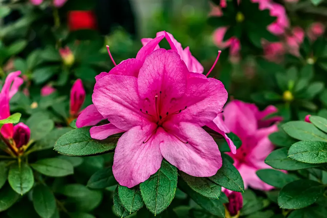 6. Choose Beginner-Friendly Plants First (Image Credits: Unsplash)