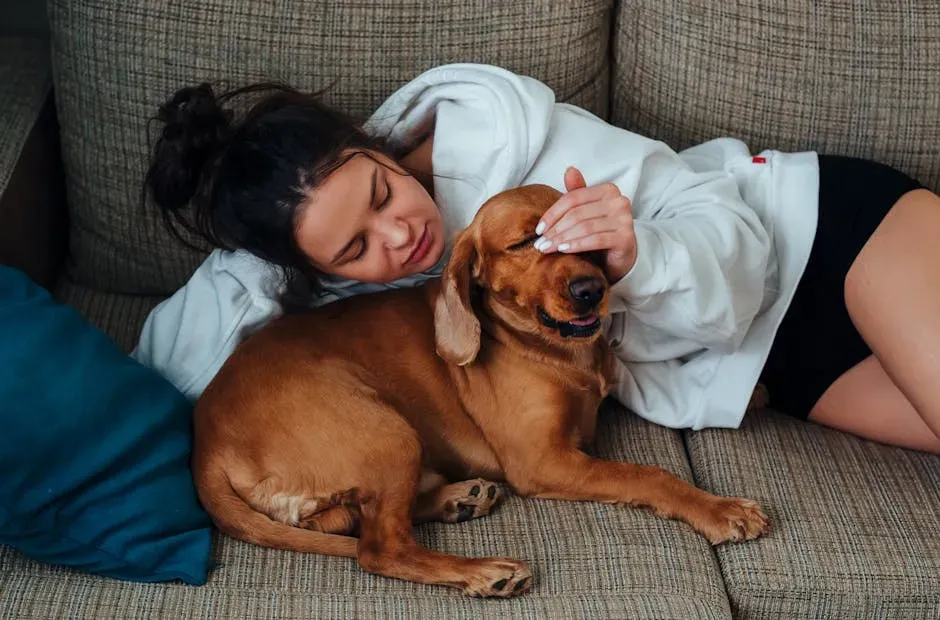 #7 - They Stay Relaxed During Loud Noises When You're Home (Image Credits: Pexels)