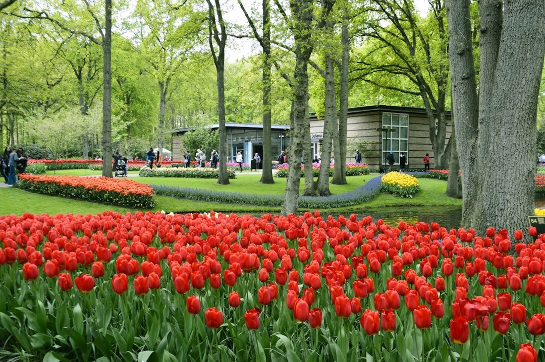 Keukenhof Gardens, Lisse, Netherlands (Image Credits: Unsplash)