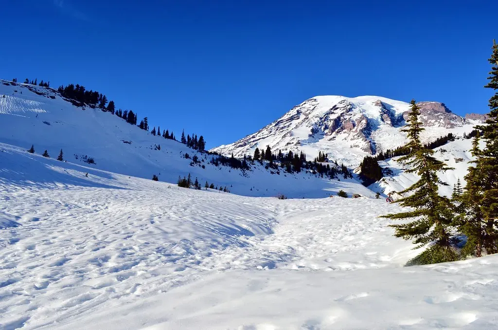 Paradise Meadows Trail at Mount Rainier National Park, Washington (Image Credits: Flickr)